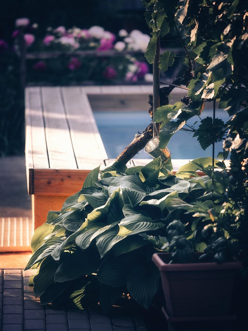 Hot Tub Time Machine